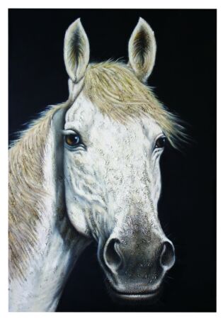 Wall Art A-800-Y-009, $700.00, Creative Furniture, 